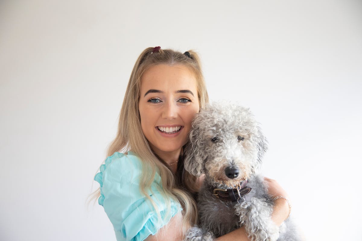 Σκύλος ράτσας Kerry Blue Terrier